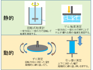 豆知識8用画像1