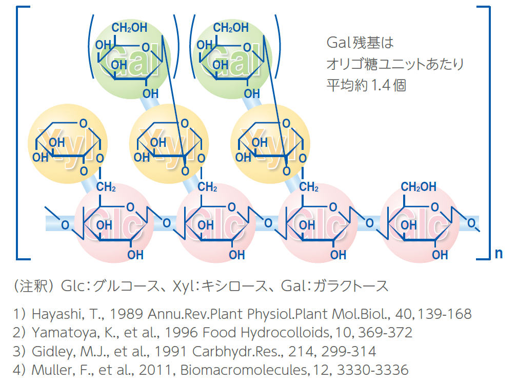 ガラクトキシログルカンの化学構造 DSP五協フード&ケミカル