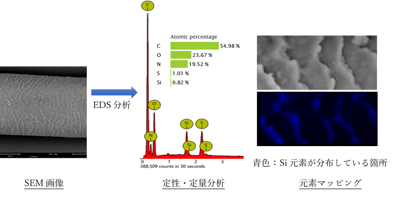 測定手法のお話　～SEM-EDX分析例 シャンプー～